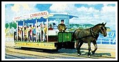 7 Horse Tram